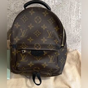 🌸SOLD🌸Louis Vuitton Palm Springs Mini backpack PM